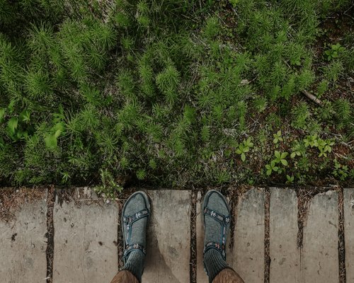 Close up view of sport shoes walking on grass trail