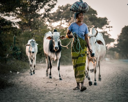 Smiling indian woman walking in morning sunlight